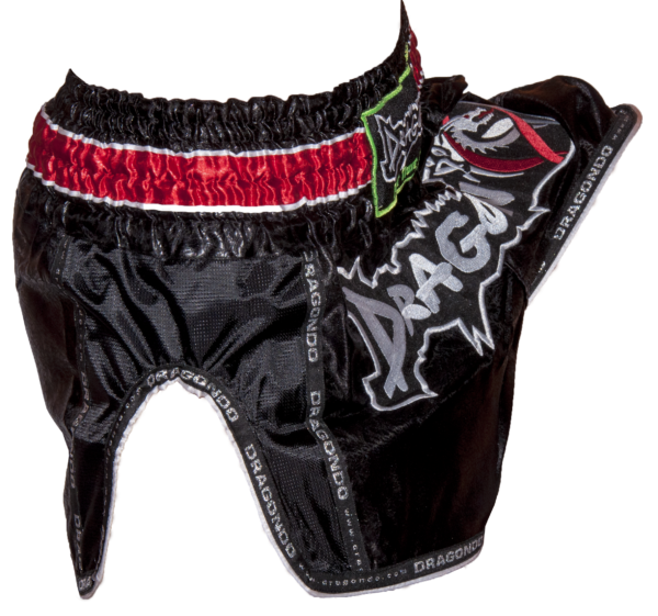 Dragon Muay Thai Shorts – Retro – black B